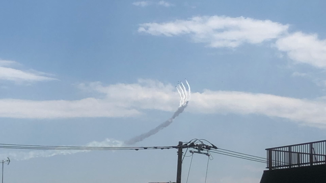 ブルーインパレスの記事動画