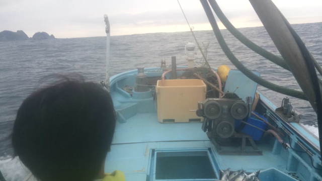 タコ籠をタイムラプスで撮ってみたの記事動画