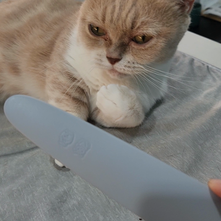 夜営業&８月のお休み☆の記事動画