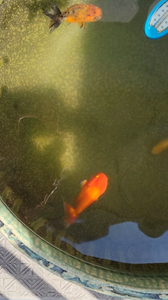 お誕生日の頂き物続編wwの記事動画