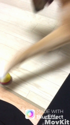 最近の茶々の記事動画