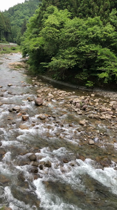 野生のサル、収めました！の記事動画