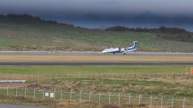 ピクミンを探しに〜福島空港の記事動画