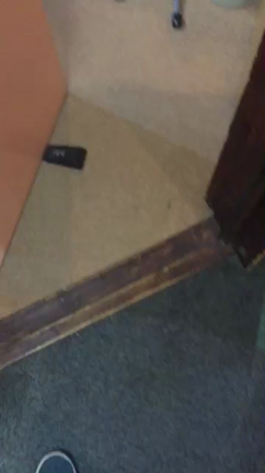 ミックス＋深夜テンション＝最強！の記事動画