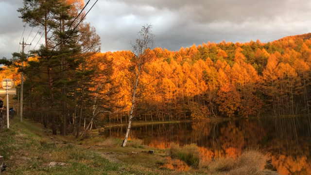 蓼科高原 御射鹿池の記事動画