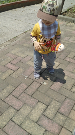 お散歩好き好きー！！の記事動画