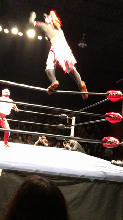 華麗なる空中技〜動画もあるよ〜の記事動画