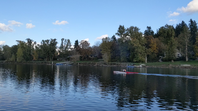 川沿いウォーク♡ゴールデンドゥードル♡「君に読む物語」サントラの記事動画