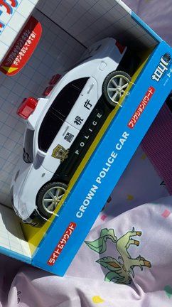 実験！の記事動画