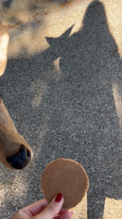 京都＆奈良2日目！ワールドクラスを堪能の記事動画