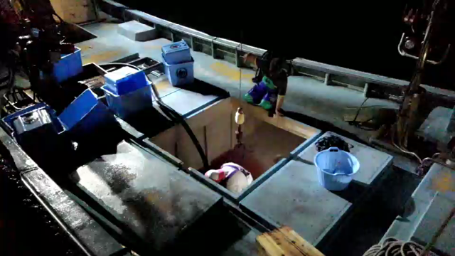 【立川南口 九州料理 個室 居酒屋】本マグロが九州に？！の記事動画