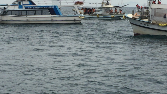 実はこれの記事動画