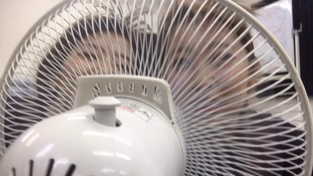 (ノ)･ω･(ヾ)＜ドンストップエビバディの記事動画