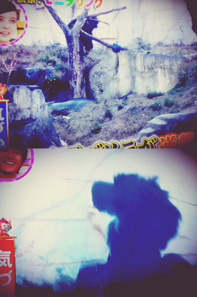 .ゴリラ.の記事動画