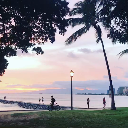 NOW  ハワイの波の音で心癒してくださいの記事動画