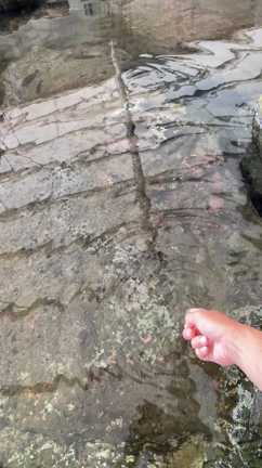 家族旅行in城崎　サビキの巻の記事動画