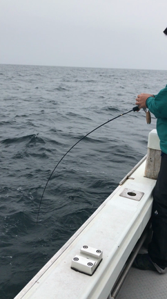 今日の夏丸さんの記事動画