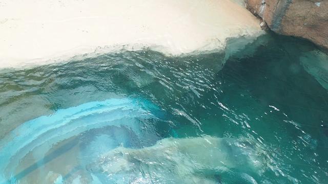 春の親子遠足！！の記事動画