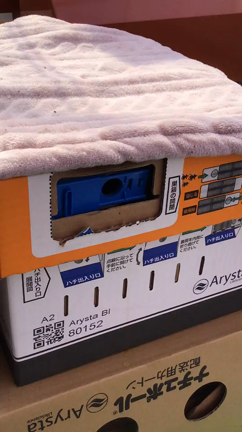 クロちゃん　キターーー❗️の記事動画