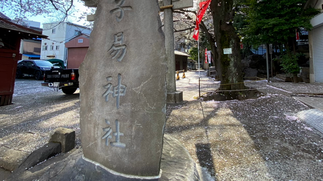 お花見散歩〜熊野神社編〜の記事動画