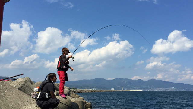 昨日のカンパチジュニア釣行？の記事動画