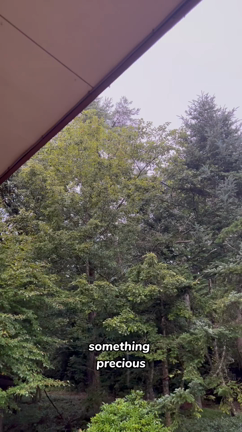 家を貸すことにしての記事動画