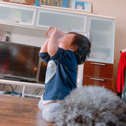 断乳１日目の記事動画