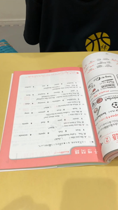 邑楽町の英会話教室 Ee Englishのご紹介の記事動画