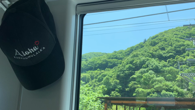 久しぶりの　特急「かいじ」の記事動画