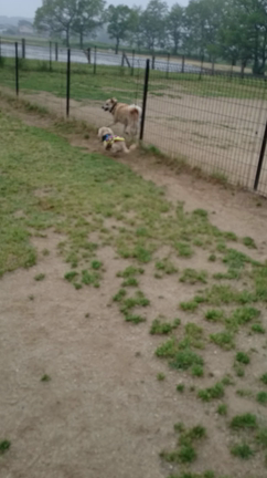 はじめまして♪の記事動画