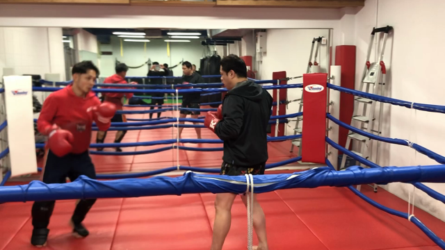 自己管理の記事動画