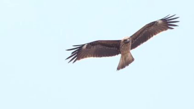 細々と。誰かが見つけてくれるその日まで。の記事動画