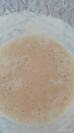 自家製玄米麹酵母の記事動画