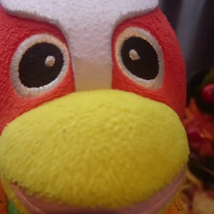 「プリモピアット」～おうちで【プリモ】の味を！～の記事動画