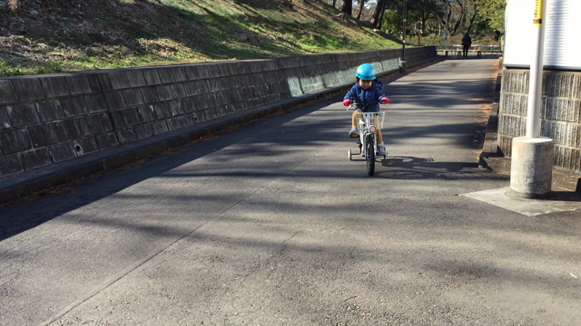 ゆっくり自転車を覚えるの記事動画