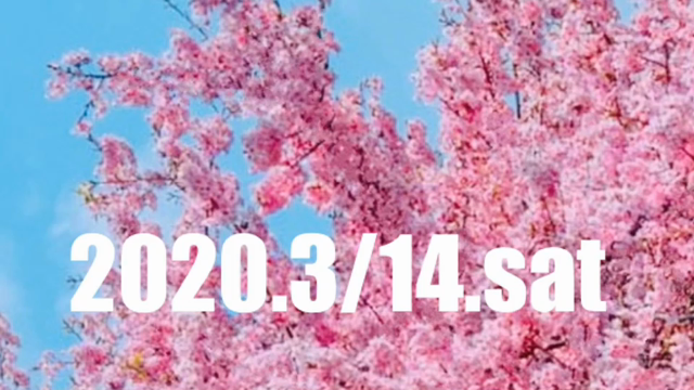 TOKYOTOWERTV club333 リニューアルスタート！の記事動画