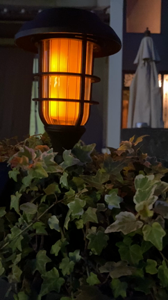 やってやった！の記事動画