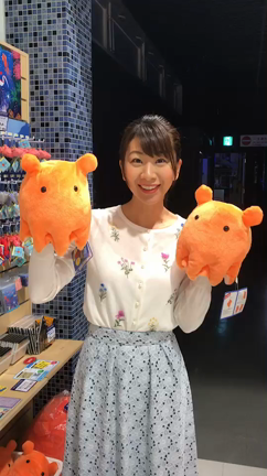 ほぇんほぇんの記事動画