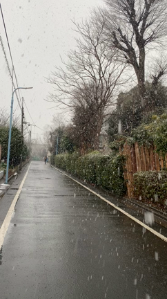 雪でも・・・の記事動画