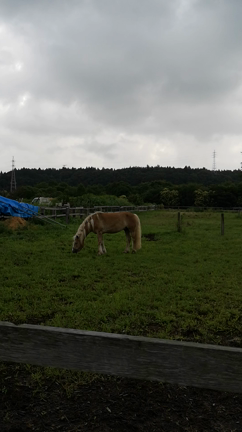 おはようございますの記事動画