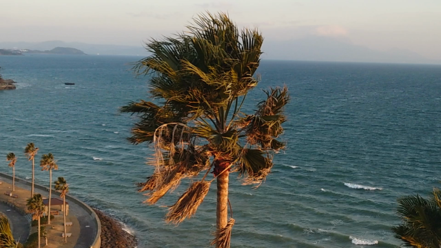 20【熊本県 天草一周旅行】: ホテルアレグリアガーデンズ天草 ～チェックイン・お部屋編～の記事動画