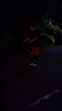 第9回、第10回、第11回しょ～もないチャレンジ企画の記事動画