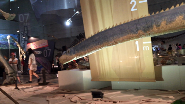 メガ恐竜展とボルダリングの記事動画