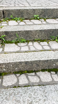 白き響きの✨那智の滝❣️✨浴びしはの浄化のエナジーなり❣️の記事動画