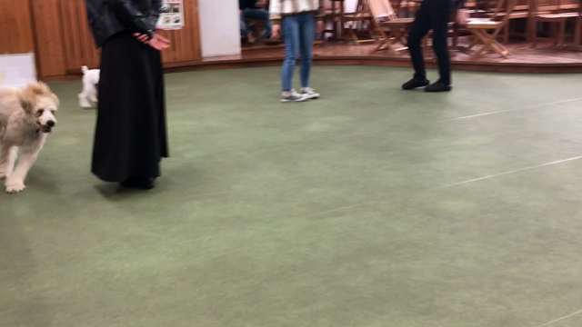 こんな時こその記事動画