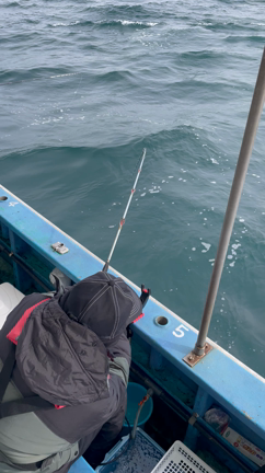 今季もノマセ便　出船しています✨の記事動画