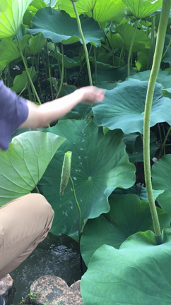 JUJU@新潟!!の記事動画