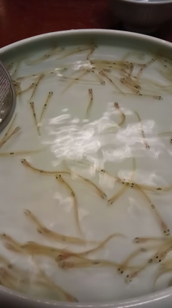 白魚の踊り食いの記事動画