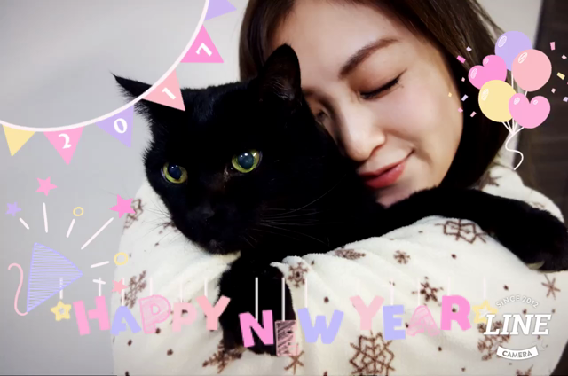 2017年始まりました！！の記事動画