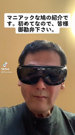 tiktokに投稿してみました。の記事動画